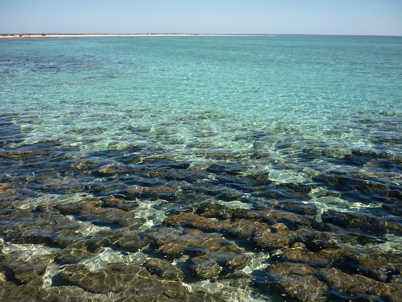 Von Perth nach Coral Bay, Australien - Mai 2010
