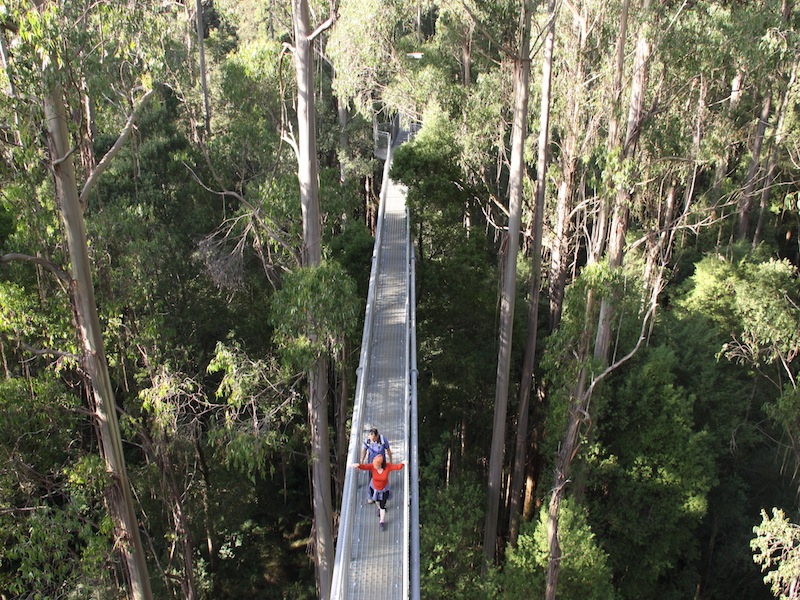 Great Ocean Road, Australien - April 2010