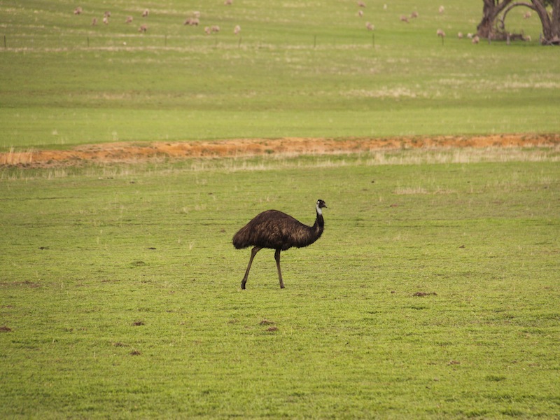 Great Ocean Road, Australien - April 2010