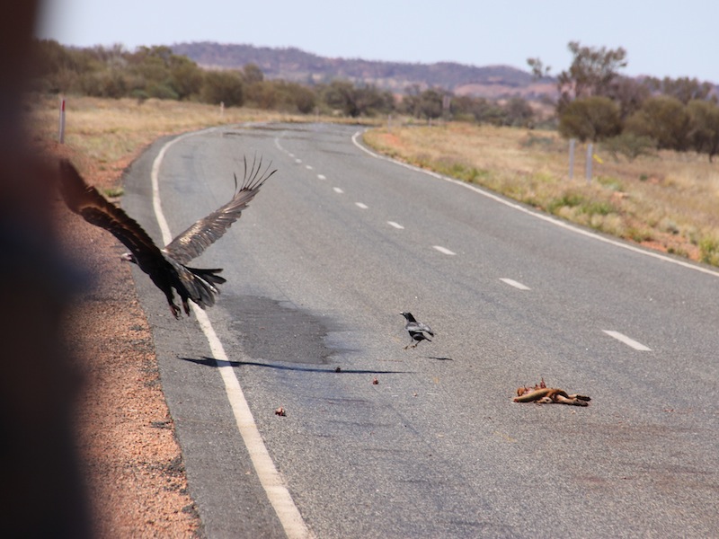 Valley of the Wind & Ayers Rock, Australien - April 2010